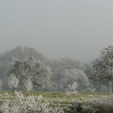 Décembre au Jardin d’Hélène